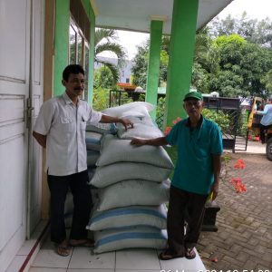 WhatsApp Image 2024-11-18 at 11.20.01