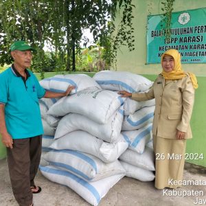 WhatsApp Image 2024-11-18 at 11.20.01(1)