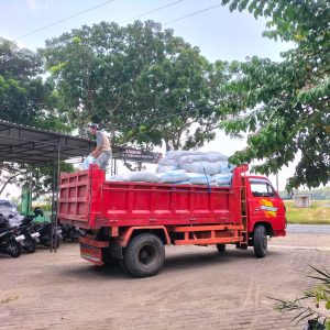 WhatsApp Image 2024-11-18 at 11.20.03